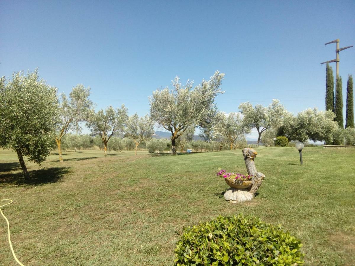 Casa Simonetta Villa Castiglione della Pescaia Esterno foto